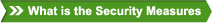 What is Security Device