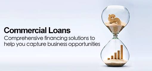 Commercial Loans