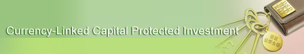 Currency-Linked Capital Protected Investment